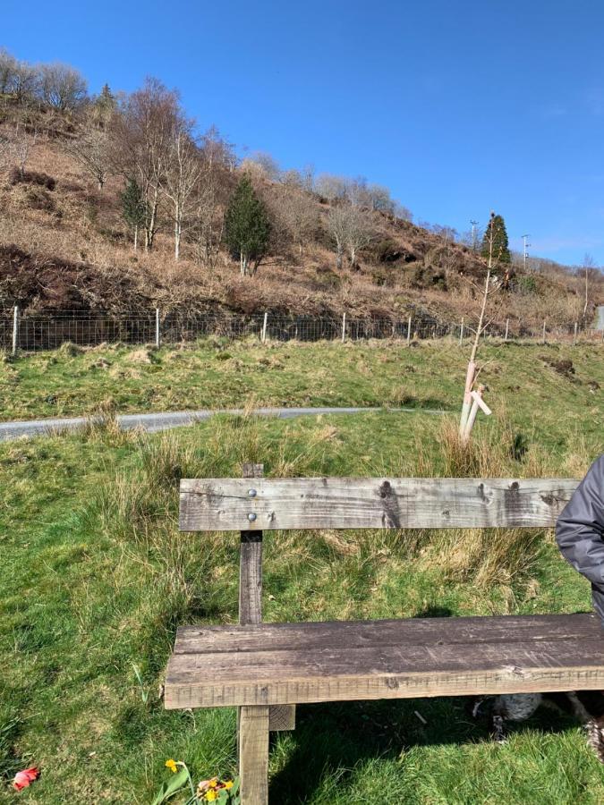 Snowdonia Rock Cottage - Cosy And Pet Friendly Penrhyndeudreath Zewnętrze zdjęcie