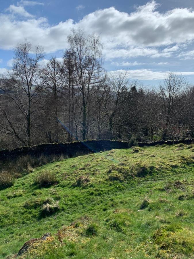 Snowdonia Rock Cottage - Cosy And Pet Friendly Penrhyndeudreath Zewnętrze zdjęcie